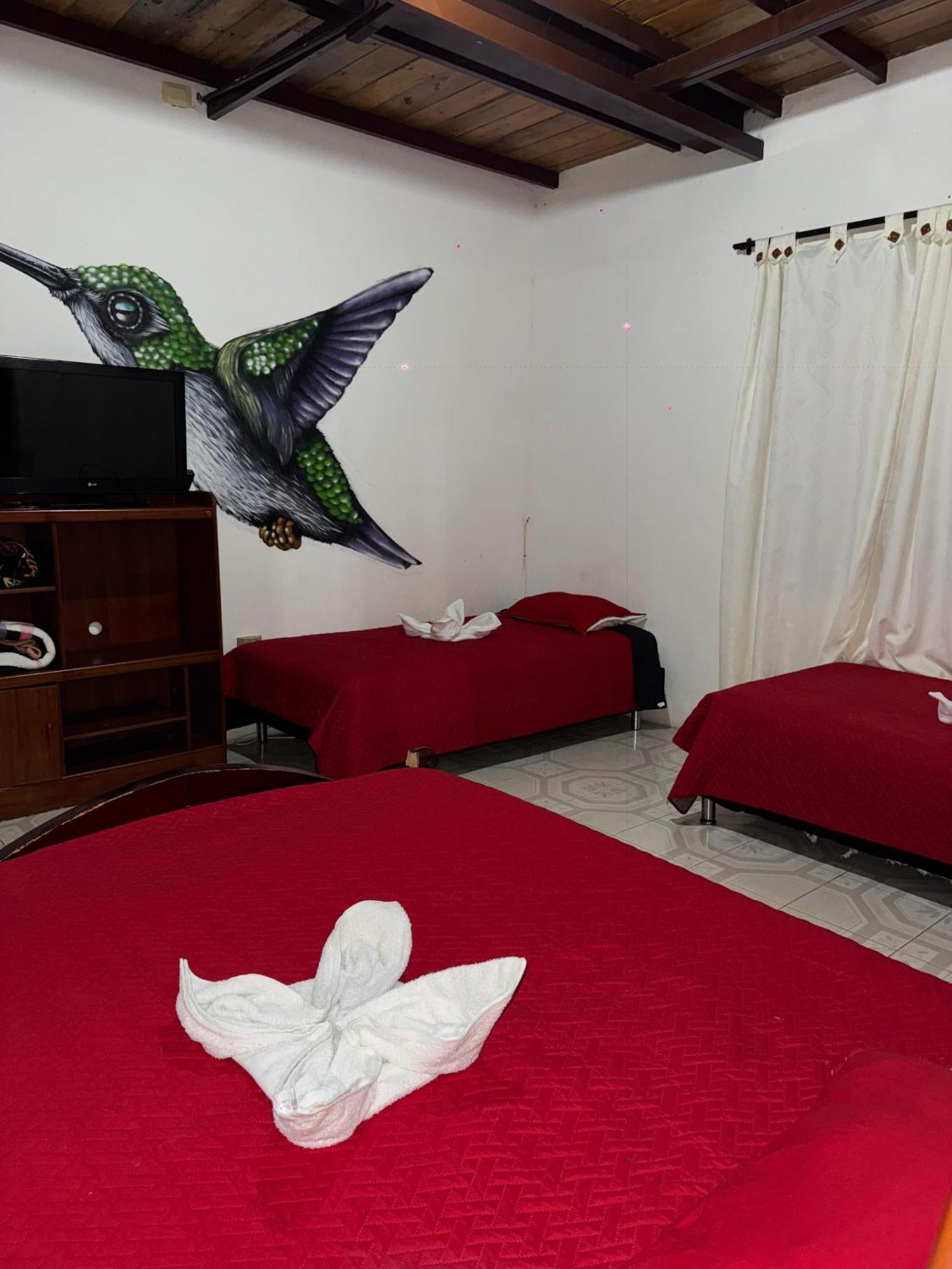 Ecohotel Colibri Salento Луна-Парк Экстерьер фото